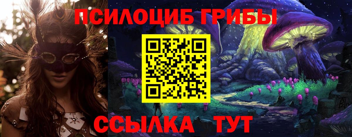 Псилоцибиновые грибы мицелий  Вход с VPN  Галлюциногенные грибы Psilocybe  Воронеж 