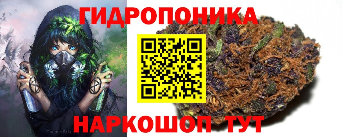 Каннабис OG Kush Воронеж
